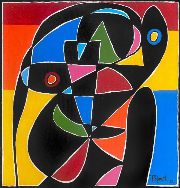 Retrato en fondo de colores