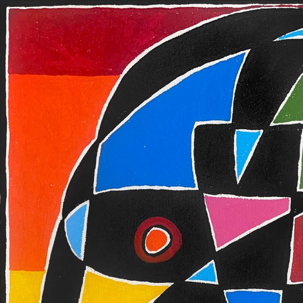 Retrato en fondo de colores - Imagen 4